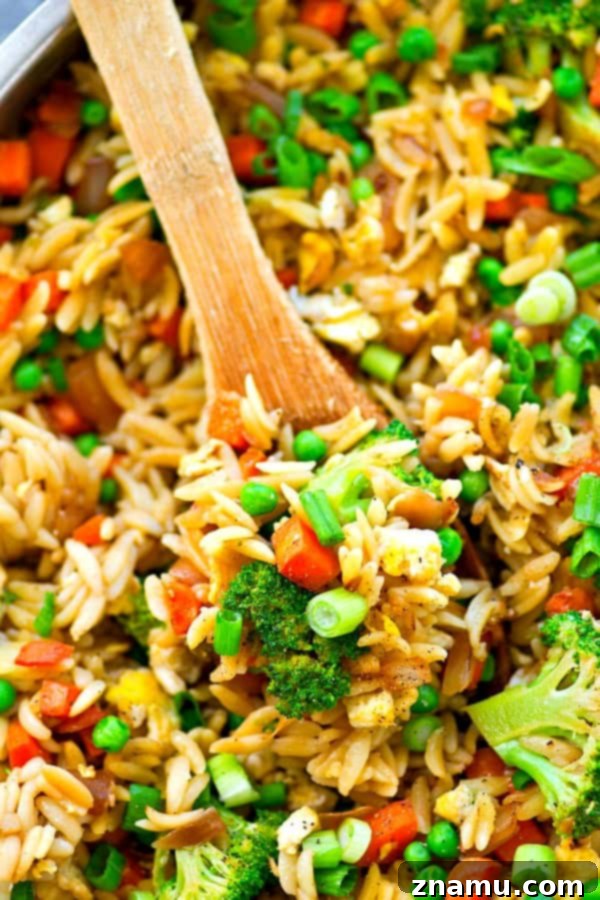 Vibrant Veggie Orzo Skillet 3 Close-up shot of a vegetarian fried orzo skillet featuring cooked orzo and colorful vegetables.