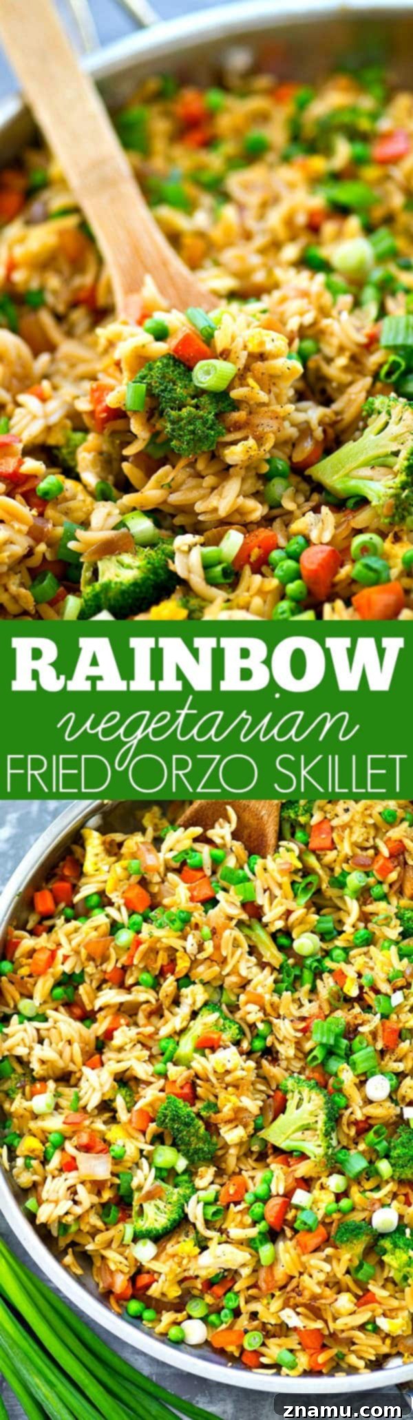 Vibrant Veggie Orzo Skillet 7 A large skillet filled with freshly prepared Rainbow Vegetarian Fried Orzo.