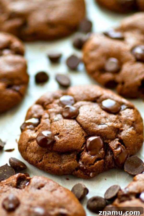 Guilt-Free Double Chocolate Coconut Delights 2 Rich, chewy double chocolate chip cookies made with coconut oil, a perfect butter-free treat
