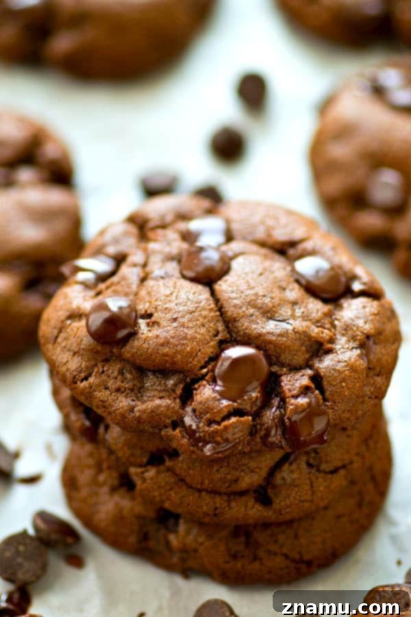 Guilt-Free Double Chocolate Coconut Delights 4 Hand holding a perfectly baked double chocolate chip cookie, highlighting its rich color and chocolate chunks