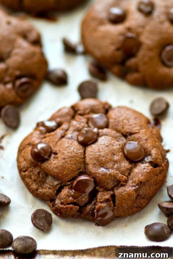 Guilt-Free Double Chocolate Coconut Delights 5 Several butter-free double chocolate chip cookies cooling on a wire rack, ready to be enjoyed