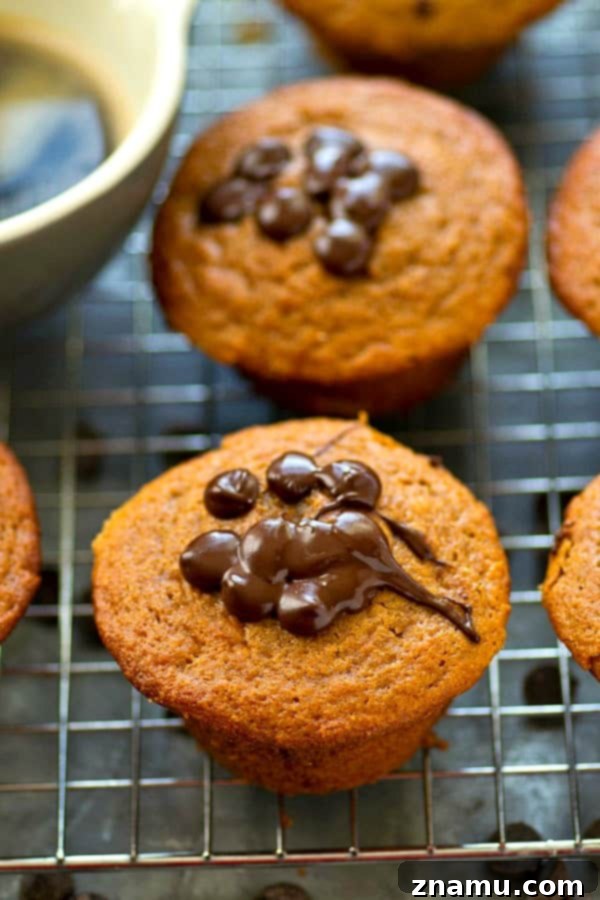 Close-up of a moist Greek Yogurt Espresso Chocolate Chip Muffin