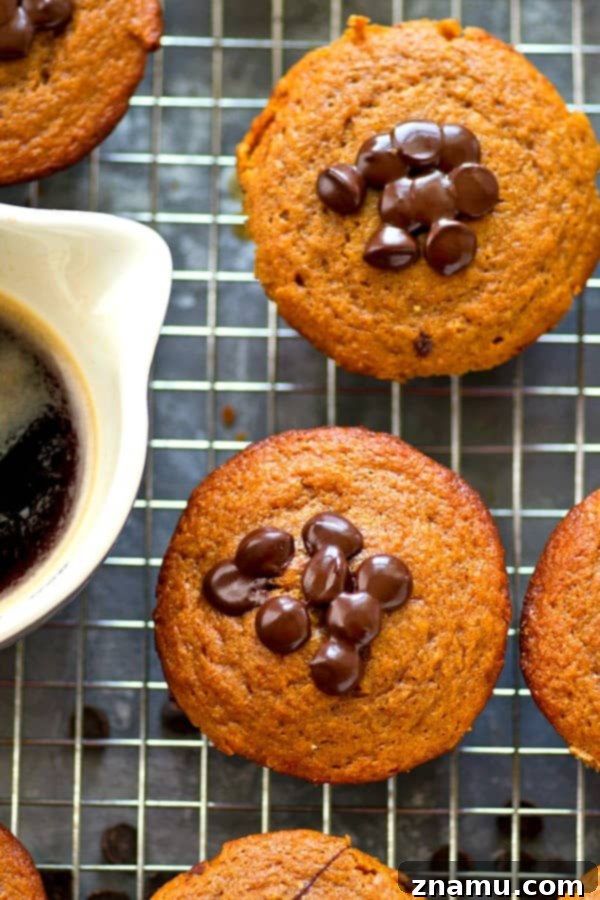Freshly baked Greek Yogurt Espresso Chocolate Chip Muffins cooling