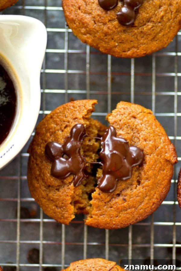 Close-up of a halved espresso chocolate chip muffin showing its soft interior