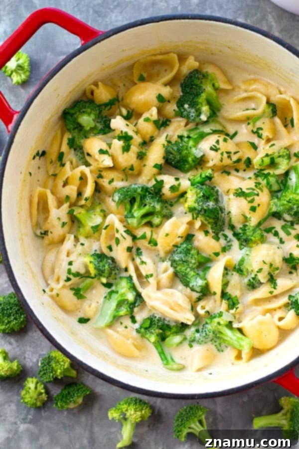 One-Pan Cheesy Broccoli Pasta 3 Creamy Cheesy Broccoli and Shells Pasta Cooked in One Pot for Busy Weeknights