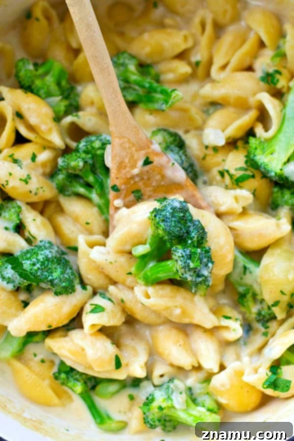 One-Pan Cheesy Broccoli Pasta 5 Vegetarian Cheesy Broccoli and Shells Skillet: Quick & Easy Dinner Idea
