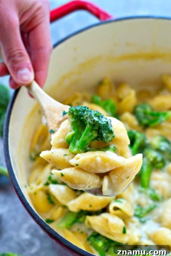 One-Pan Cheesy Broccoli Pasta 6 One-Pot Comfort Food: Cheesy Broccoli and Shells Pasta Under 30 Minutes
