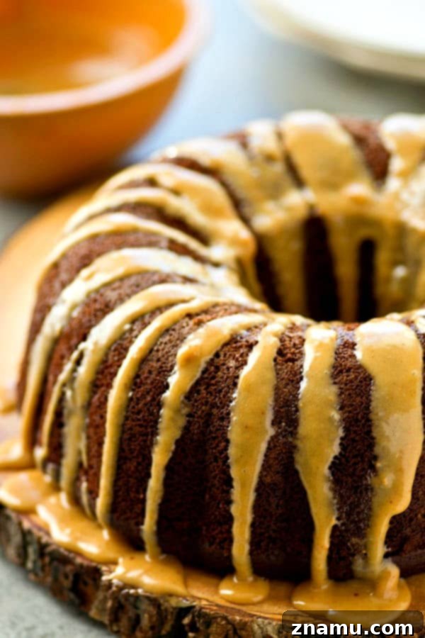 Dreamy Chocolate Peanut Butter Bundt Cake 3 Moist Chocolate Bundt Cake with Peanut Butter Glaze