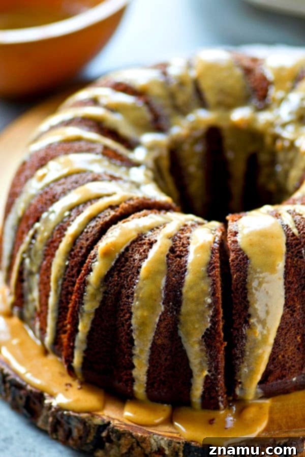 Dreamy Chocolate Peanut Butter Bundt Cake 5 Easy Chocolate Bundt Cake Recipe with Peanut Butter