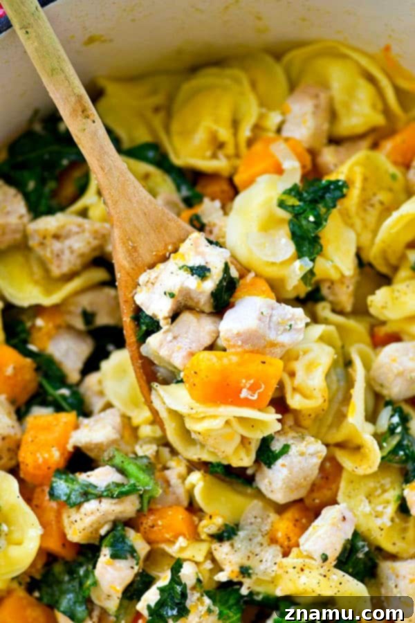 Cozy Chicken Tortellini Skillet with Butternut Squash and Kale 2 Delicious Skillet Chicken Tortellini with Butternut Squash and Fresh Kale, ready to serve