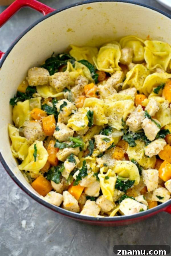 Cozy Chicken Tortellini Skillet with Butternut Squash and Kale 3 Skillet filled with cheese tortellini, chicken cubes, butternut squash, and green kale