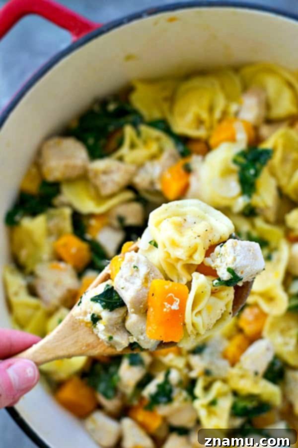 Cozy Chicken Tortellini Skillet with Butternut Squash and Kale 4 Close-up of the vibrant chicken and butternut squash sautéing in the skillet before adding pasta