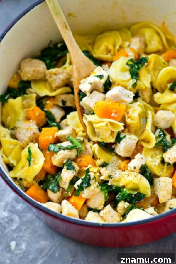 Cozy Chicken Tortellini Skillet with Butternut Squash and Kale 6 Overhead view of a portion of Skillet Chicken Tortellini, colorful and ready to be enjoyed