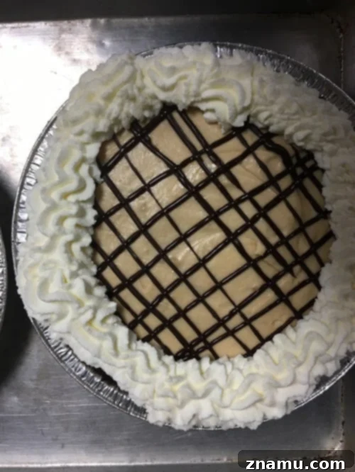 The Culinary Crucible: Volume Three 31 Close-up of a classic apple pie with a lattice crust