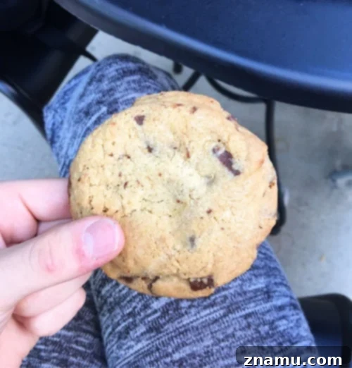 The Culinary Crucible: Volume Three 49 Close-up of a perfect chocolate chip cookie
