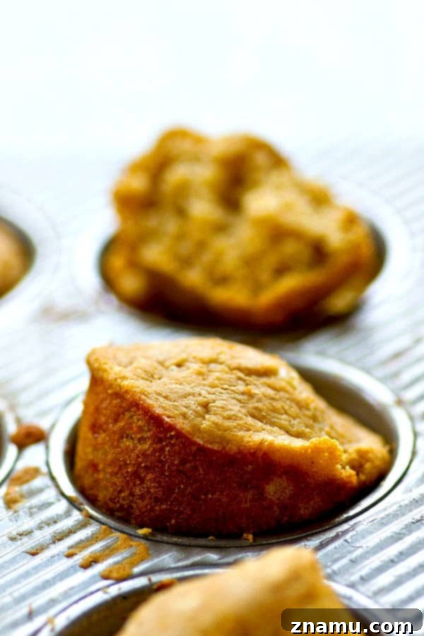 Whisk-and-Bake Beer Cheese Muffins 2 Freshly baked cheddar beer muffins, golden brown with melted cheese on top