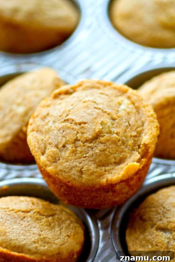 Whisk-and-Bake Beer Cheese Muffins 4 Ingredients for cheddar beer muffins laid out: flour, cheese, beer, agave, garlic powder, baking powder
