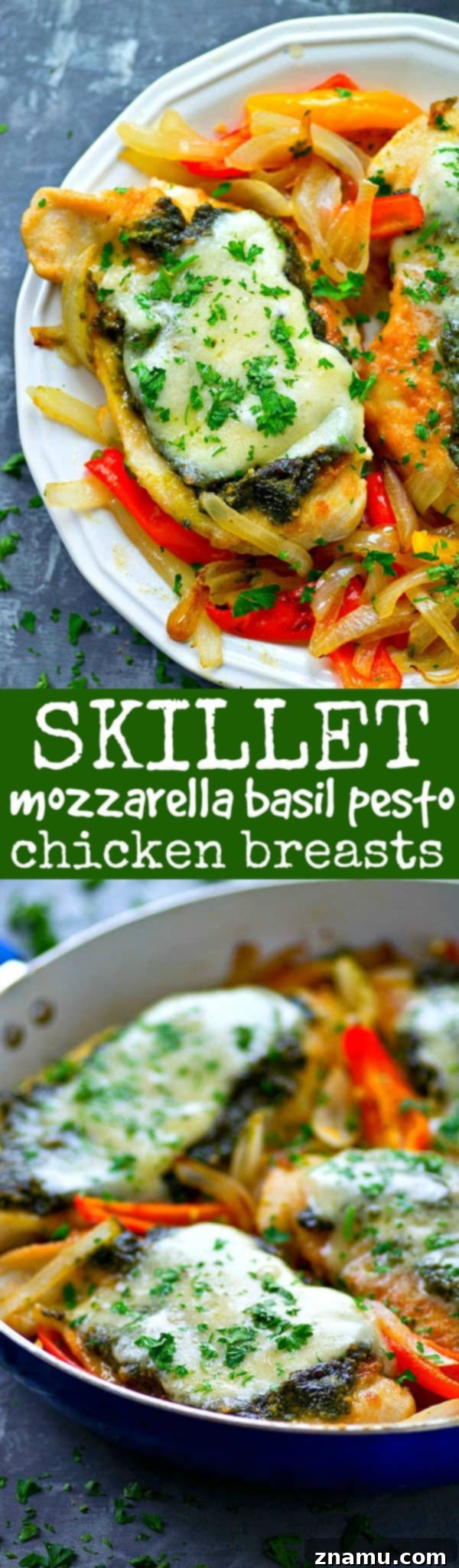 Pan-seared basil pesto chicken breasts get topped with a homemade basil pesto and lots of mozzarella cheese for an easy skillet chicken dinner ready in under 30 minutes!
