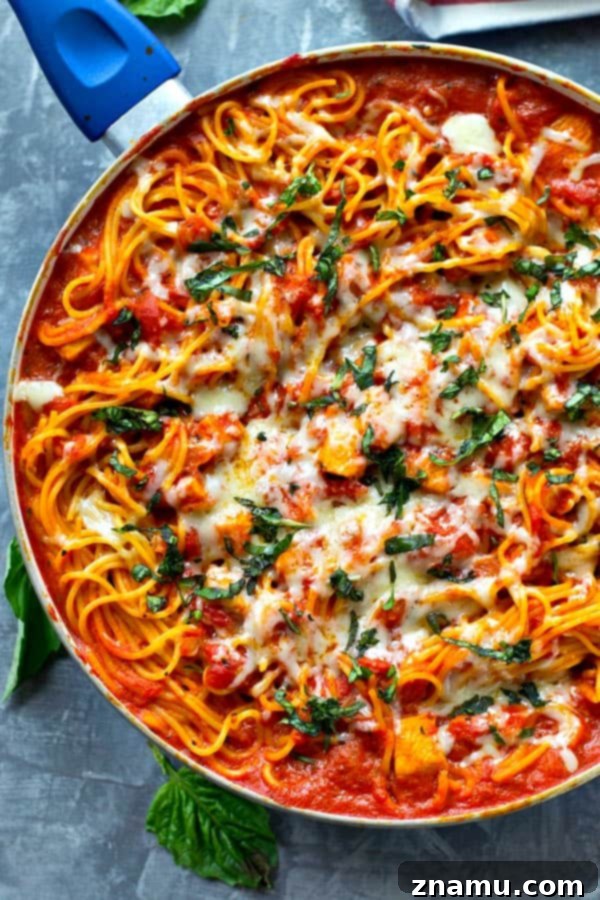 One-Pan Creamy Chicken Tomato Basil Spaghetti 2 Creamy Chicken Tomato Basil Spaghetti Skillet with fresh basil