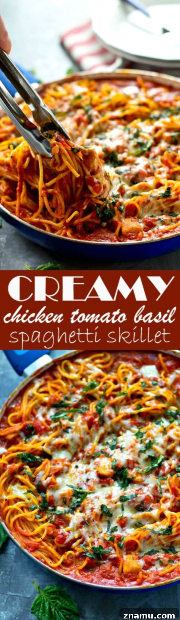 One-Pan Creamy Chicken Tomato Basil Spaghetti 7 Plated Creamy Chicken Tomato Basil Spaghetti Skillet with fresh basil garnish