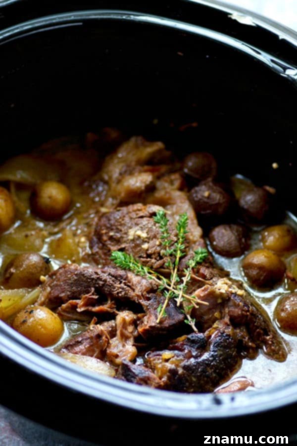 Rustic Wine-Braised Beef with Fingerling Potatoes 3 Close-up of crockpot beef roast with potatoes, onions, and herbs ready for slow cooking