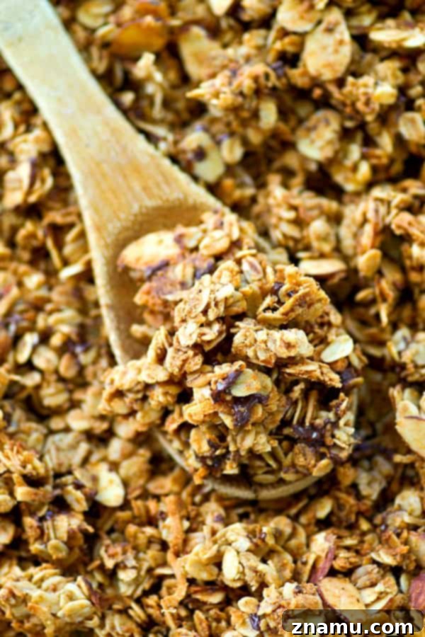 Peanut Butter Mocha Dream Clusters 2 This mocha granola is a peanut butter chocolate lover's dream! It's easy to bake up and SO good with vanilla greek yogurt...or just by the handful.