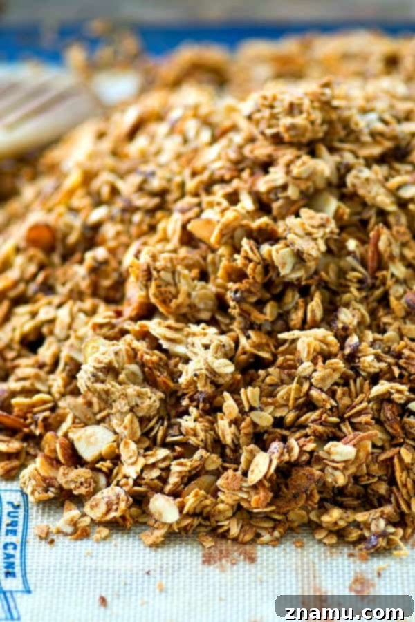 Peanut Butter Mocha Dream Clusters 3 This mocha granola is a peanut butter chocolate lover's dream! It's easy to bake up and SO good with vanilla greek yogurt...or just by the handful.