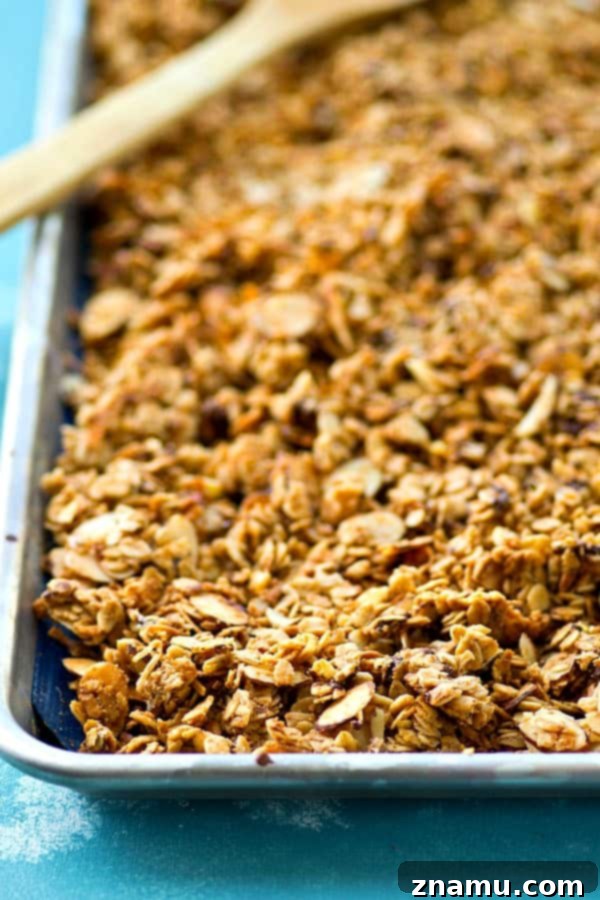 Peanut Butter Mocha Dream Clusters 5 This mocha granola is a peanut butter chocolate lover's dream! It's easy to bake up and SO good with vanilla greek yogurt...or just by the handful.