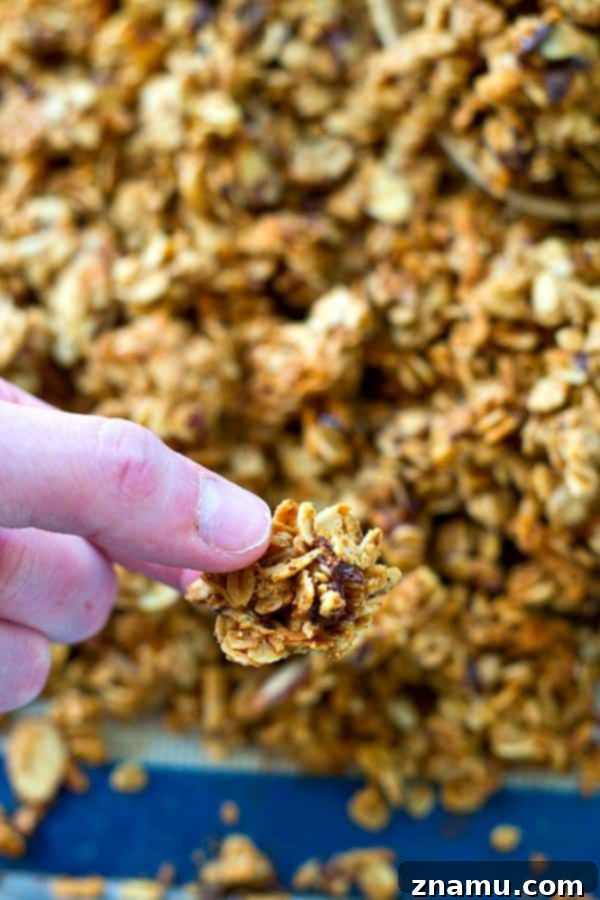 Peanut Butter Mocha Dream Clusters 6 This mocha granola is a peanut butter chocolate lover's dream! It's easy to bake up and SO good with vanilla greek yogurt...or just by the handful.