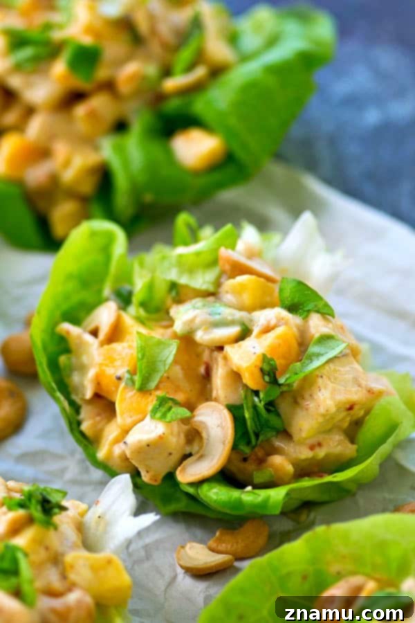 Tropical Fire Chicken Lettuce Wraps 2 These kickin' chicken salad lettuce wraps are packed with the perfect balance of zingy chipotle flavors and sweet mango.---they're SO easy to throw together in less than 10 minutes!