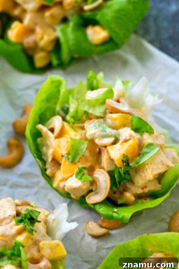 Tropical Fire Chicken Lettuce Wraps 5 These kickin' chicken salad lettuce wraps are packed with the perfect balance of zingy chipotle flavors and sweet mango.---they're SO easy to throw together in less than 10 minutes!