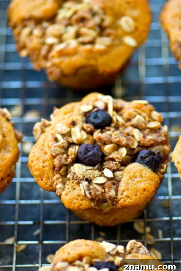Blueberry Crumble Sour Cream Morning Muffins 2 Generously topped with oatmeal streusel and bursting with fresh blueberries, these super-moist blueberry sour cream muffins are a homemade dream.