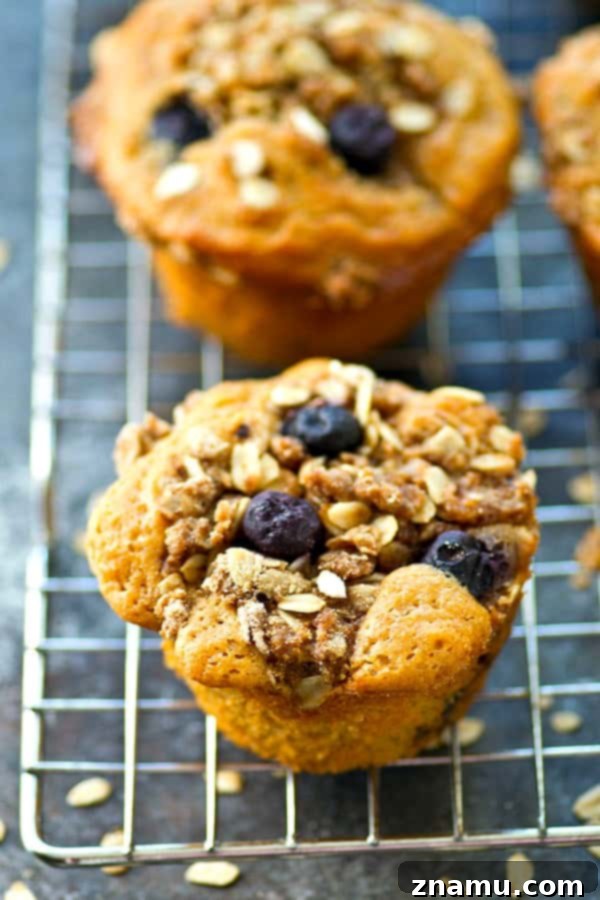Blueberry Crumble Sour Cream Morning Muffins 3 Close-up of a warm blueberry sour cream muffin, showcasing its moist interior and golden oatmeal streusel.