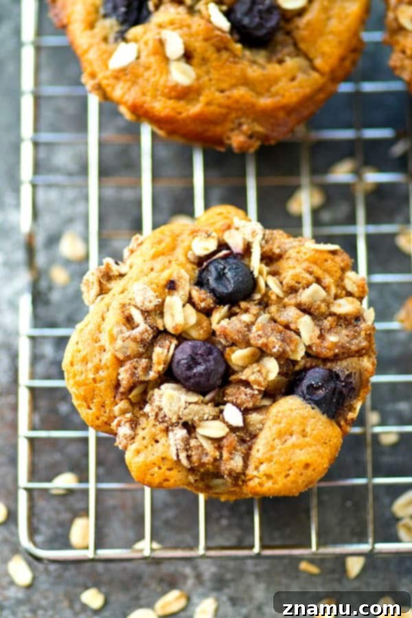 Blueberry Crumble Sour Cream Morning Muffins 4 A batch of freshly baked blueberry sour cream muffins with abundant oatmeal streusel, cooling on a wire rack.