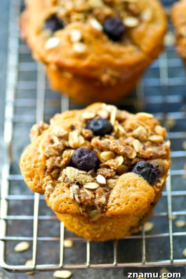 Blueberry Crumble Sour Cream Morning Muffins 5 A close-up of the golden-brown, crumbly oatmeal streusel topping on a blueberry sour cream muffin.