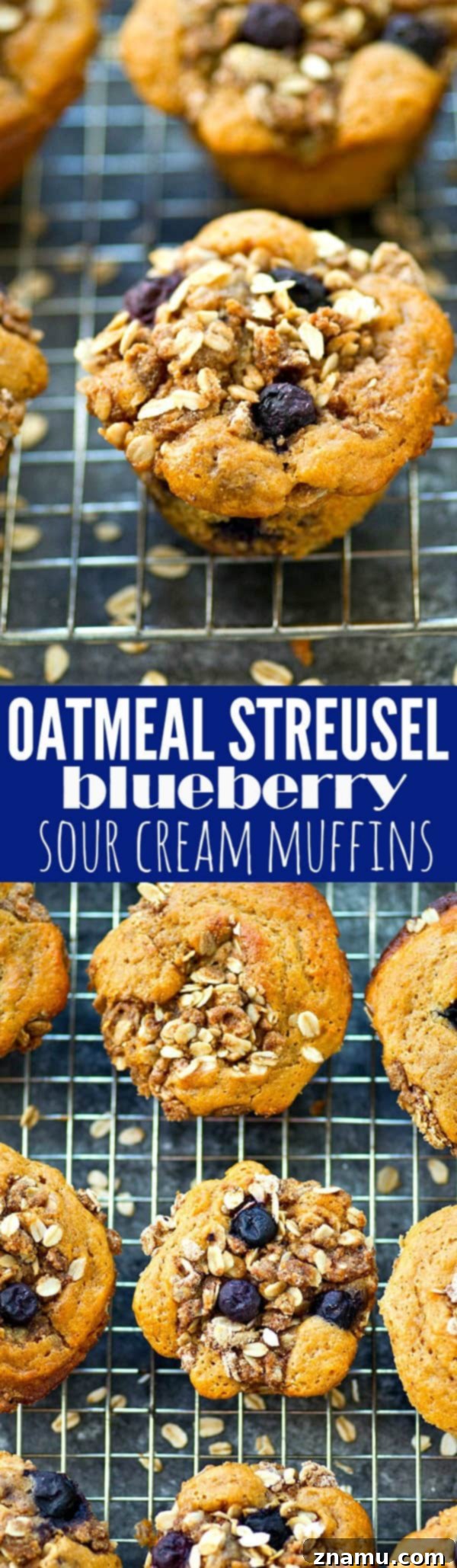 Blueberry Crumble Sour Cream Morning Muffins 6 A close-up shot of several blueberry sour cream muffins, highlighting their fluffy texture and generous streusel.