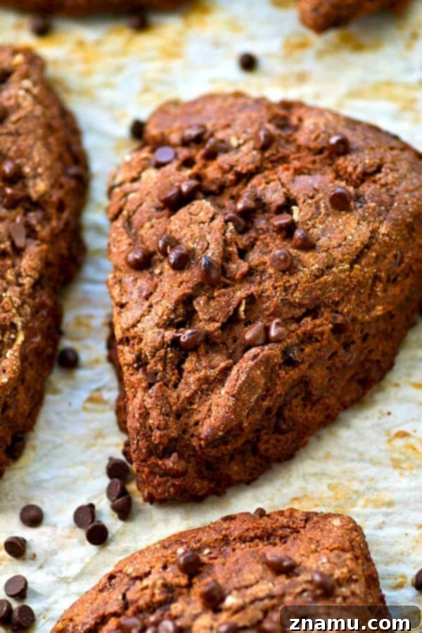 Dark Chocolate Coconut Bliss Scones 2 Flaky Double Dark Chocolate Coconut Oil Scones for breakfast