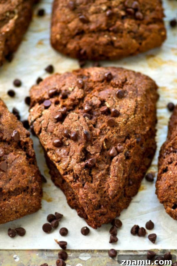Dark Chocolate Coconut Bliss Scones 3 Delicious Double Dark Chocolate Coconut Oil Scones with chocolate chips