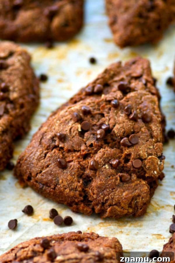 Dark Chocolate Coconut Bliss Scones 4 Close-up of flaky texture in coconut oil chocolate scones