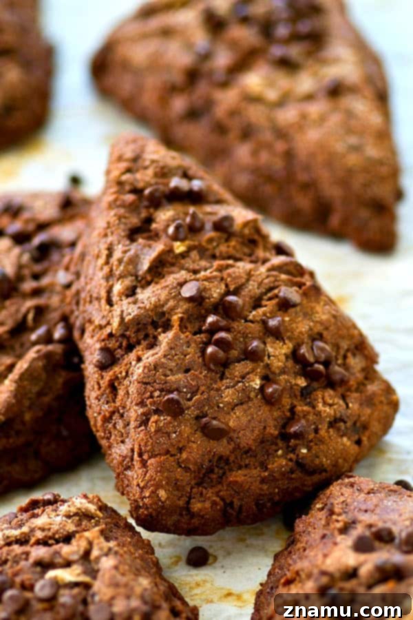 Dark Chocolate Coconut Bliss Scones 5 Finished Double Dark Chocolate Coconut Oil Scones on a cooling rack