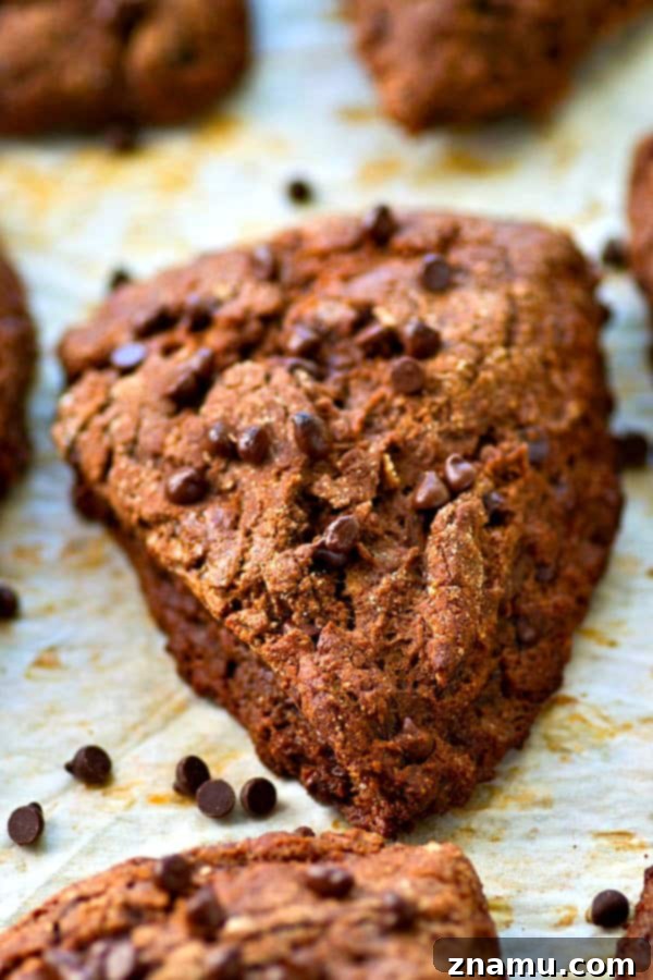 Dark Chocolate Coconut Bliss Scones 6 Serving plate with freshly baked Double Dark Chocolate Coconut Oil Scones