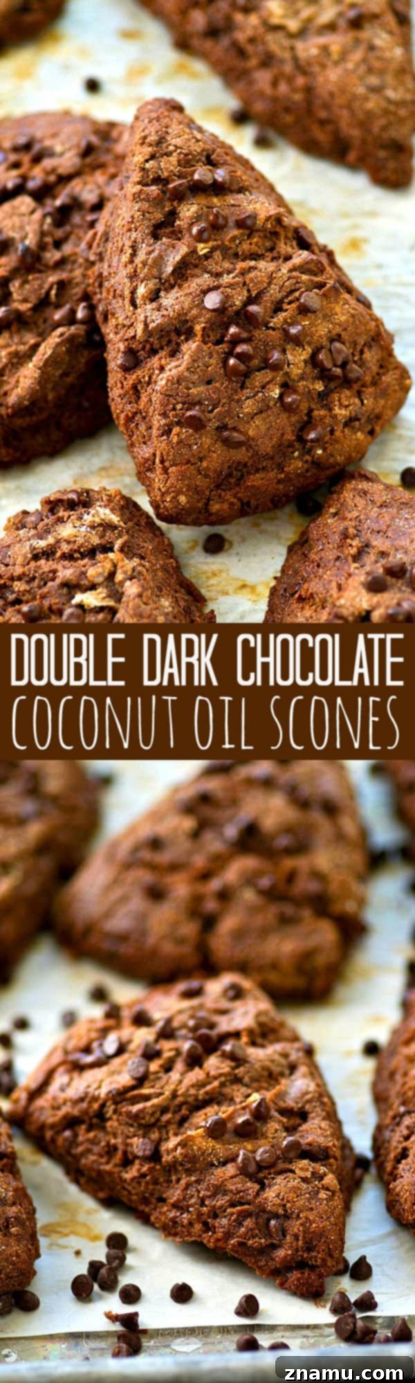 Dark Chocolate Coconut Bliss Scones 7 Stacked Double Dark Chocolate Coconut Oil Scones with a view