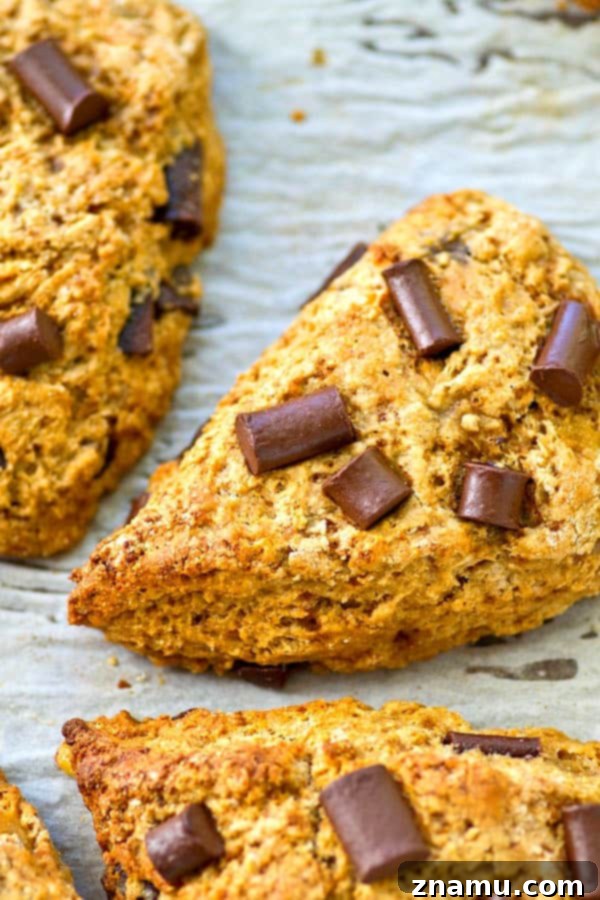 A close-up of a single banana chocolate chunk scone on a white plate, showing its texture.