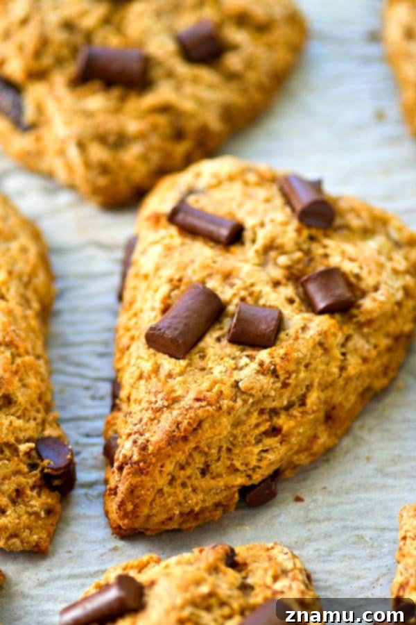 A tray of unbaked banana chocolate chunk scone wedges before going into the oven.
