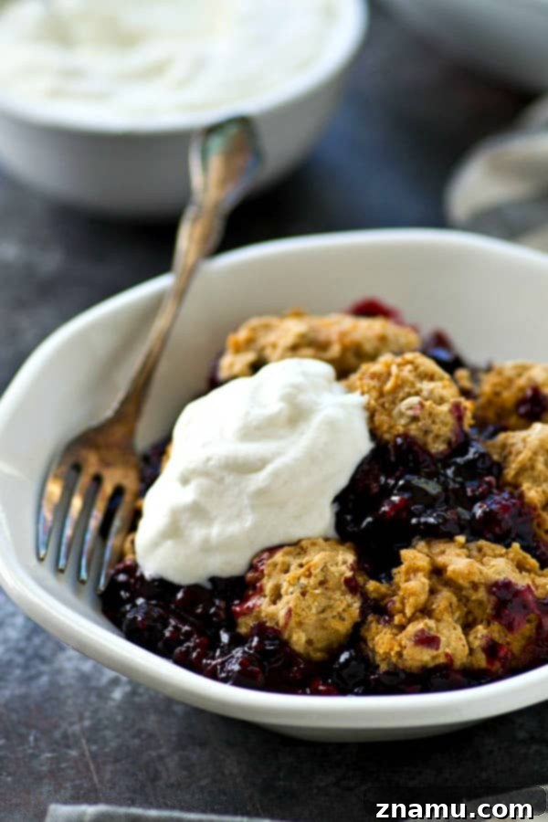 Golden Oat Berry Cobbler 4 A closer look at a spoonful of the mixed berry cobbler, showing the luscious berry filling spilling out from under a golden oat biscuit, inviting you to take a bite.