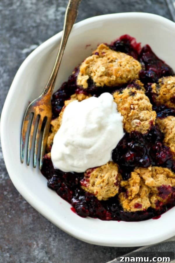 Golden Oat Berry Cobbler 5 A wide shot of the baked mixed berry cobbler in a baking dish, showcasing the even distribution of the oat biscuits and the rich, dark berry filling peeking through.