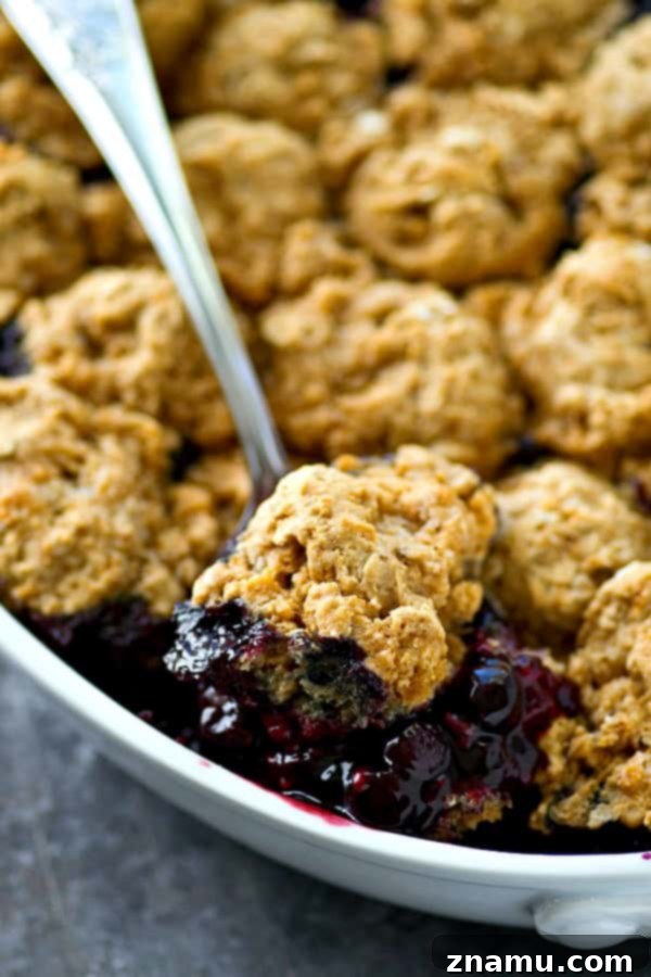 Golden Oat Berry Cobbler 6 A close-up of a single serving of mixed berry cobbler in a bowl, generously topped with a dollop of freshly whipped cream, steam rising from the warm dessert.