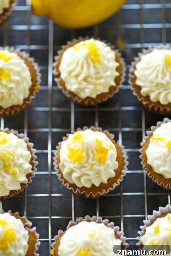 Zingy Mini Lemon Cupcakes with Velvety Cream Cheese Frosting 2 Delicious mini lemon cupcakes with fluffy cream cheese frosting, garnished with lemon zest, served on a white plate