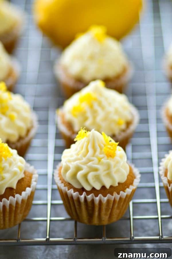 Zingy Mini Lemon Cupcakes with Velvety Cream Cheese Frosting 3 Close-up of a perfectly frosted mini lemon cupcake, showcasing its fluffy texture and rich cream cheese frosting
