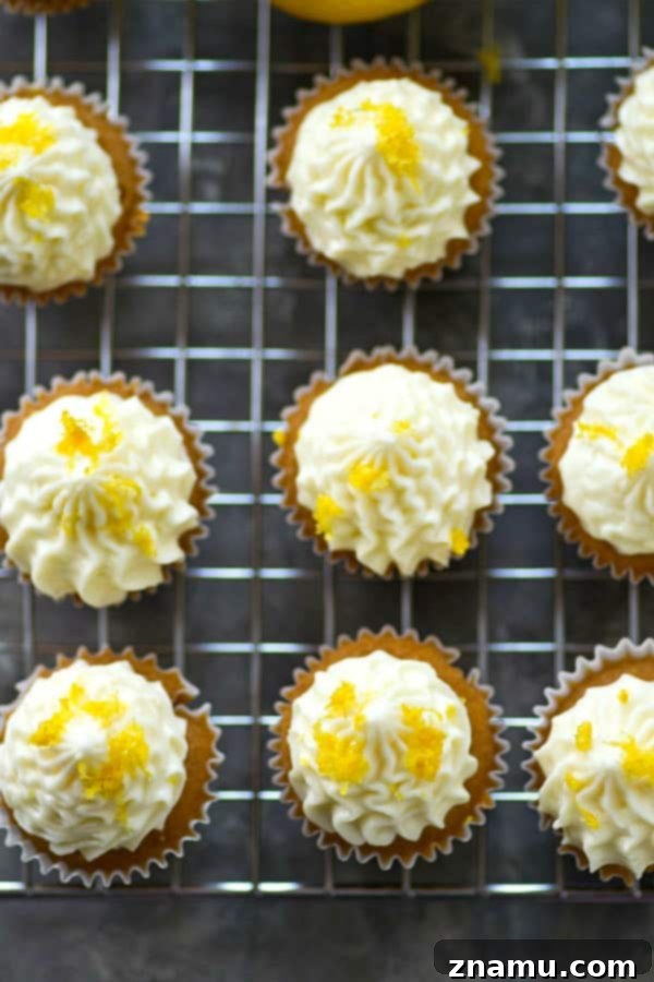 Zingy Mini Lemon Cupcakes with Velvety Cream Cheese Frosting 4 A plate of freshly baked mini lemon cupcakes, un-frosted, displaying their golden-brown tops and perfectly baked appearance